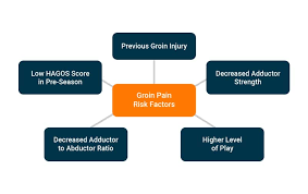 This site contains information about groin area diagram. Managing Groin Pain In Field Sport Athletes