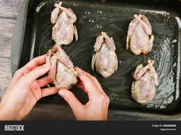 Sounds simple enough, but what provides this show's appeal is that these aspiring. Quail Hands Quail Image Photo Free Trial Bigstock