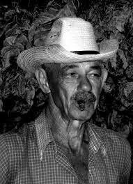 File:Cuban Tobacco Farmer.jpg