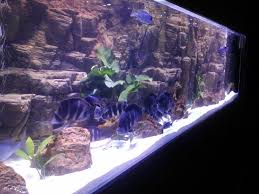 Aquaplazma 3d Fon Chicled Biotop Akvaryumlar Akvaryum