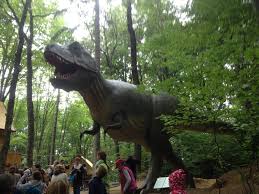 Am avut multe de văzut acolo și am de gând să mai pregătesc și alte articole în care să vă spun ce am mai vizitat. Dino Parc Cel Mai Mare Parc Cu Dinozauri In MÄrime NaturalÄ Din Europa