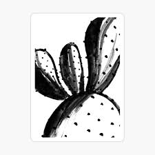 Modern vintage vogue black white line character sketch canvas print painting poster art wall picture for living room home decor. Black And White Cactus Framed Art Print By Juliealex Redbubble