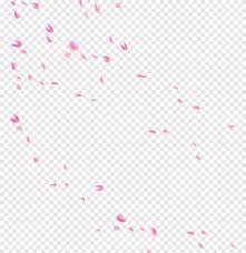 Pink Flower Petals Illustration Beach Rose Petal Drop Flower Beautiful Pale Pink Petals Falling Texture Leaf Png Pngegg Falling autumn leaves, petal floral design orange pattern, autumn leaves falling, watercolor leaves, leaf png. pink flower petals illustration beach