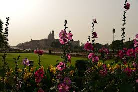 Innocence white by city flowers. Like Flowers Check Out These Floral Destinations In India