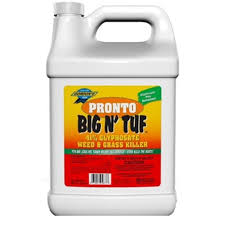 Tough Gordon's Pronto Big N' Tuf Weed & Grass Killer - Walmart.com