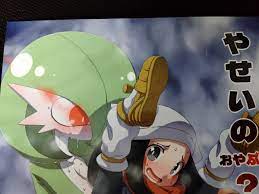 POKEMON doujinshi Gardevoir etc. (B5 20pages) yaseino oyabun | eBay