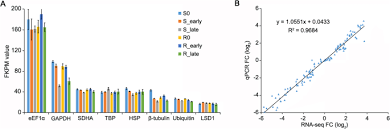 0% 0% found this document not useful, mark this document as not useful. A Combined Microrna And Transcriptome Analyses Illuminates The Resistance Response Of Rice Against Brown Planthopper Bmc Genomics Full Text
