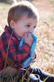 mSg Foundations Photography