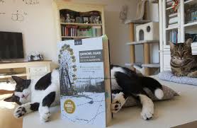 Moonlightcat13 Okuma Halleri Fotograflarla Cernobil Duasi Sv Okuma Fotograf Kitap