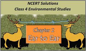 Each gap represents a missing word or phrase. Ncert Solutions For Class 4 Evs Chapter 2 Ear To Ear