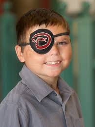 Meet 18 people, groups making Gilbert better