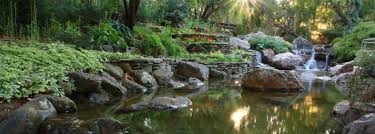 majestic gardens gilroy gardens gilroy garden