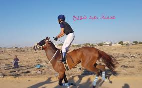 تم عقد سباق سرعة أمس السبت علي مطار غزة صور الخيالة و الخيول في غزة Facebook