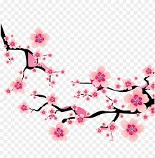 How to use branches and stems as holiday decor. Sakura Blossom Clipart Plum Flower Cherry Blossom Branch Clipart Png Image With Transparent Background Toppng