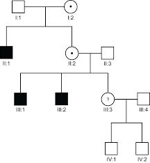 Drawing family tree genetics pic : Genetics An Introduction To Risk Analysis In X Linked Recessive Disorders