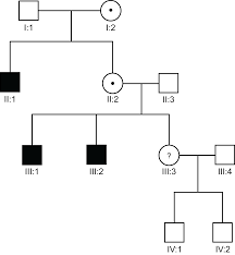 Start your family tree by entering your name on the left. Genetics An Introduction To Risk Analysis In X Linked Recessive Disorders