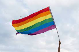 Google searches questioning sexuality and gender up 1,300% since 2004,  analysis shows