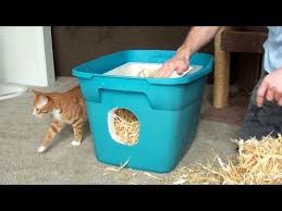 how to make a feral cat shelter you