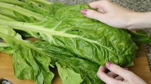 Las acelgas tienen mucho para ofrecer, aparte de ser sabrosas asimismo son ricas en vitaminas y minerales, por esa razón afirmamos traerte este singular en el que vas a aprender de qué forma cocer estas nutritivas hortalizas utilizando los mejores. 4 Formas De Cocinar Acelga Wikihow
