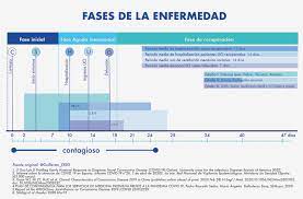 Saúde de a a z sintomas, diagnósticos, exames, tratamentos, causas, prevenção, vacinação e perguntas e. What To Do If I Get Sick With Covid 19 Hc Marbella International Hospital