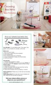 Growing Bacteria Free Printable Free Printables Free Educational Printables Science Projects For Kids