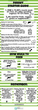 Punctilious Ferret Kibble Chart Clubhouse Ferret Food Chart