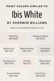 Image result for Ibis White 2017 Q1