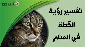 تداول ناشطون على مواقع التواصل الاجتماعي. ØªÙØ³ÙŠØ± Ø­Ù„Ù… Ø§Ù„Ù‚Ø·Ø© Ø§Ù„ØªÙØ³ÙŠØ± Ø§Ù„Ø¯Ù‚ÙŠÙ‚ Ù„Ø±Ø¤ÙŠØ© Ø§Ù„Ù‚Ø·Ø© ÙÙŠ Ø§Ù„Ù…Ù†Ø§Ù… Ø§Ø±Ø¨ Ø­Ø¸