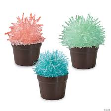 Fiv infects mostly feral cats, of which there are half a billion in the world, dr poeschla said. Crystal Cactus Kit Mindware