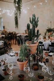 Diamond are a girls best friend. How To Use Potted Plants In Your Wedding Decor 47 Unique Ideas Weddingomania