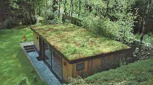 les toits vegetaux toiture verte toit vegetal toit vegetalise