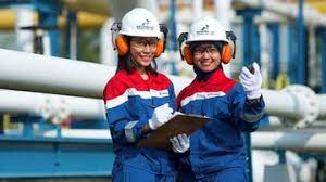Kerja praktek / tugas akhir. Susunan Lengkap Struktur Organisasi Pertamina Yang Baru