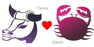 Cancer is the first constellation in summer and people born between june 22 and july 22 are under this astrological sign. How To Find Your True Love Based On Your Zodiac Sign Hygo