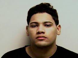 2 arrested, 1 shot, another injured in wild Springville domestic dispute