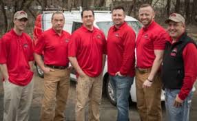 Contact the experts at local pest experts for all port macquarie pest control. Meet The Experts At Rainbow Pest Care Rainbow Pest Care