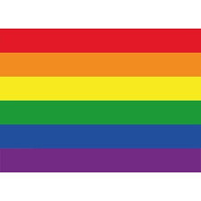 Dit artikel begint met een lijst waarin alle nationale vlaggen staan en geeft vervolgens een overzicht van andere artikels over vlaggen. 10x Regenboog Vlag Lgbt Vlag Sticker 7 5 X 10 Cm Bij Fun En Feest Belgie