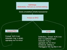 Andningen i samband med hjärtstopp— presentationens avskrift Ppt Hjartstopp Powerpoint Presentation Free Download Id 709456