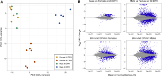 Emergence of sex-specific transcriptomes in a sexually dimorphic brain  nucleus: Cell Reports