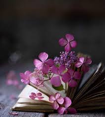 Tumblr Mesto Gde Mozhno Samovyrazhatsya Chitat Samoe Lyubimoe I Nahodit Druzej Po Interesam In 2020 Flower Phone Wallpaper Beautiful Flowers Wallpapers Book Flowers