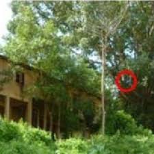 Maybe you would like to learn more about one of these? Pdf The December 2014 Flood In Kelantan A Post Event Perspective