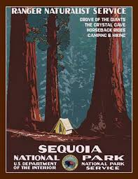 Dept Of Interior Vintage Posters Google Search With Images Tourism Poster Vintage Posters Sequoia National Park