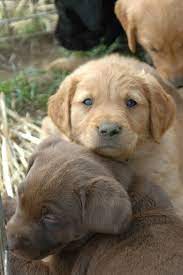 Maybe you would like to learn more about one of these? Pin On The Short List