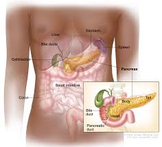 Pancreatic cancer is called a silent killer because it often grows or spreads undetected. Childhood Pancreatic Cancer Treatment Pdq Patient Version National Cancer Institute