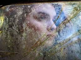 Northern Virginia Photographic Society