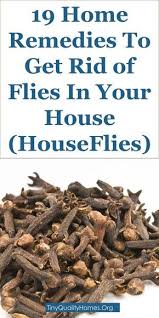 19 Home Remedies Fly Repellents To Get Rid Of Flies In Your House And Outdoors Houseflies Get Rid Of Flies Fly Repellant Fruit Flies In House