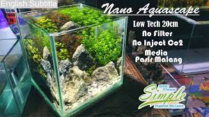 .nano aquascape difformis,red lotus (proyek iseng iseng) ~ simple fauna : Nano Low Tech Aquascape 20 Cm Tanpa Filter Tanpa Injeksi Co2 Dengan Media Pasir Malang Youtube