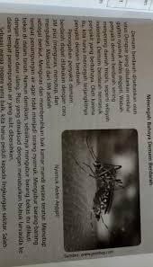 Tuliskan kata kunci dari judul teks tersebut. 1 Temukan Kata Kunci Yang Terdapat Pada Judul Teks Tersebutlingkarilah Kata Kunci Tersebut 2 Brainly Co Id