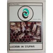 Lucrari in stupina