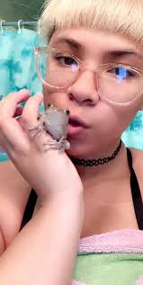 A cutie I found after work he’s a Cuban tree frog