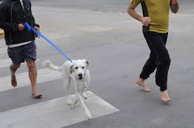 A man champions barefoot running, comes to Minnesota